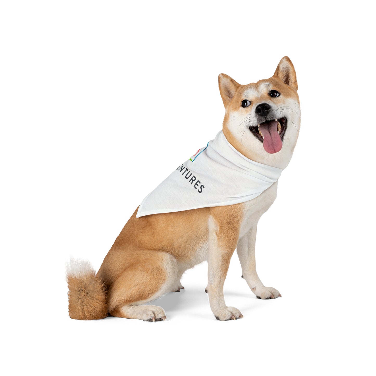 Pet Tag